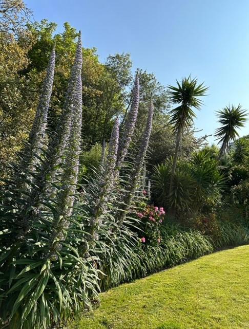 Westhill Country Hotel Saint Helier Jersey Esterno foto